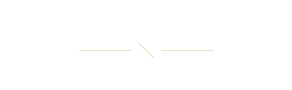 The Fault Line seam mark — a stylised geological line